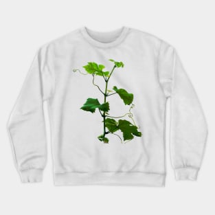 Grape vine Crewneck Sweatshirt